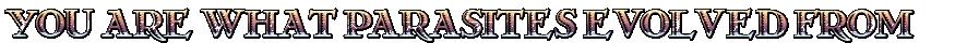 a glitter gif reading: You are what parasites evolved from